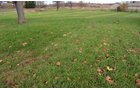 Yard - 1,540 sq. ft. Ranch Style Country Home on Nearly 3 Acres